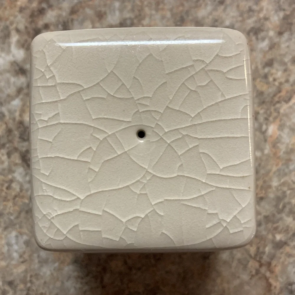 Ceramic Salt and Pepper Shakers
